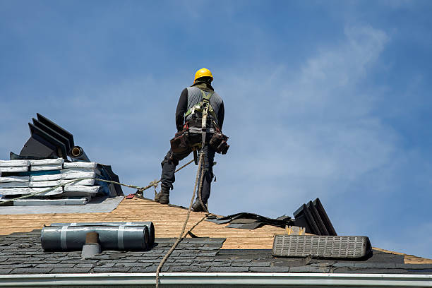 Professional Roof Replacement technician working in Bally, PA
